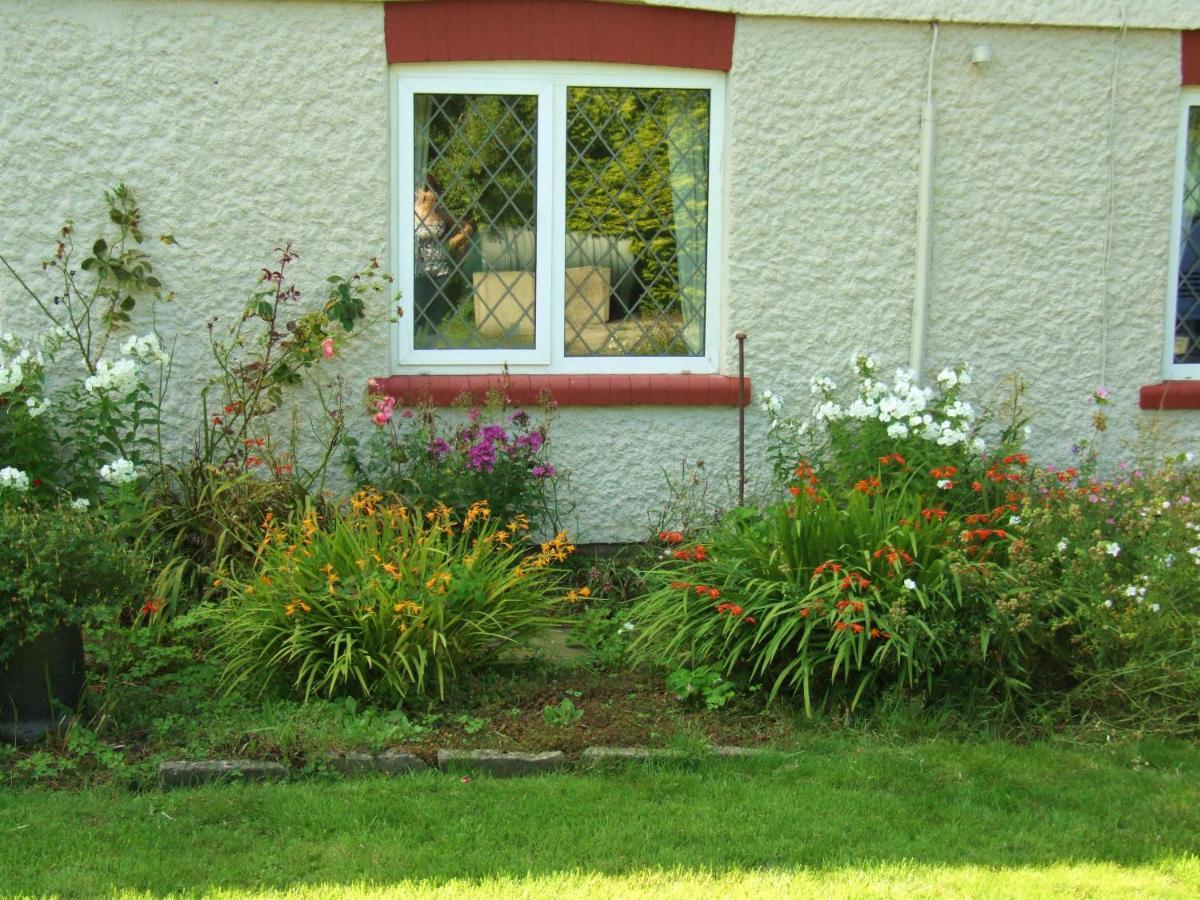 Firtrees Villa Selby Exterior photo